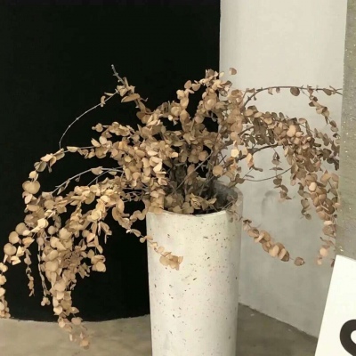 Furry兽设创作灵感兽圈社群